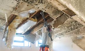 Best Environmental Consulting for Mold Prevention in Mckees Rocks, PA